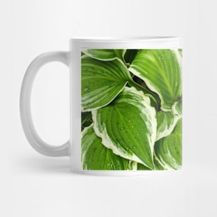 Hosta Leaves In The Rain 1 Mug